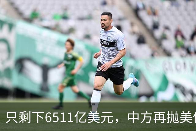 只剩下6511亿美元，中方再抛美债后离场，最大接盘国家浮出水面