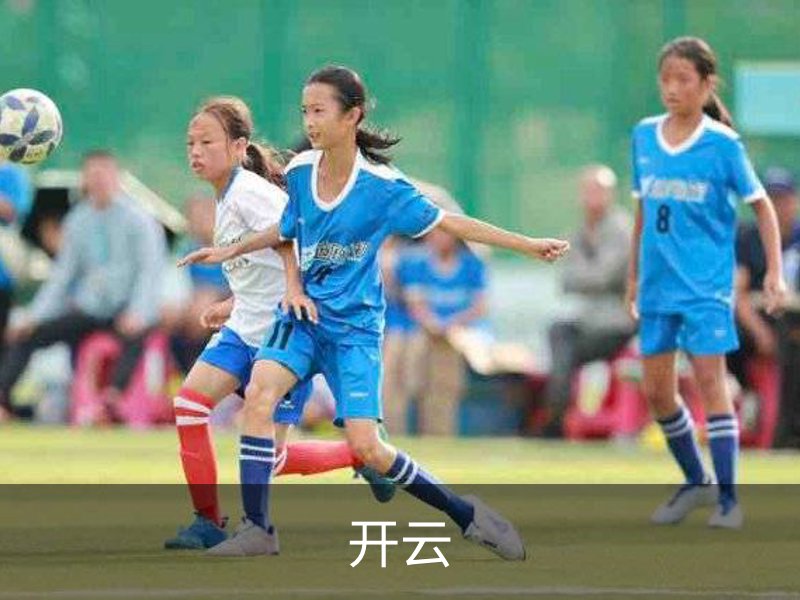 关于开云