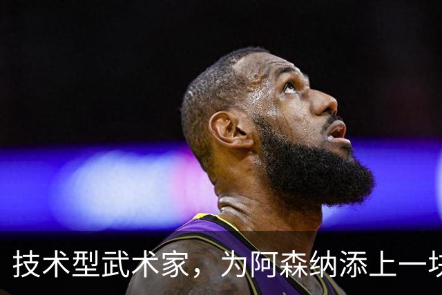 技术型武术家，为阿森纳添上一块拼图