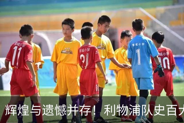 辉煌与遗憾并存！利物浦队史百大球星第44位：托雷斯
